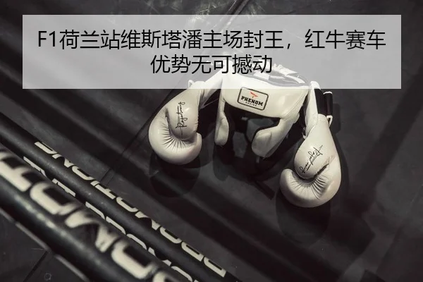 he-lan-zhan-wei-si-ta-pan-zhu-chang-feng-wang-hong-niu-sai-che-you-shi-wu-ke-han-dong-1-738.jpg